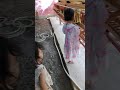 pengusaha cilik ayam petelur,,,,