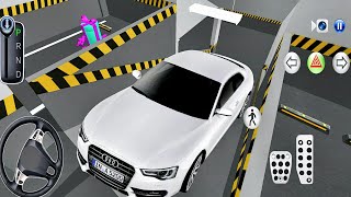 Parking Challenge : New Audi Q5, Kia Ray & Lamborghini Sian!! | 3D Driving Class 2025 screenshot 2