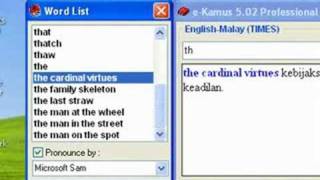 Sound in e-Kamus screenshot 3