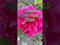 Happy New Year 2024