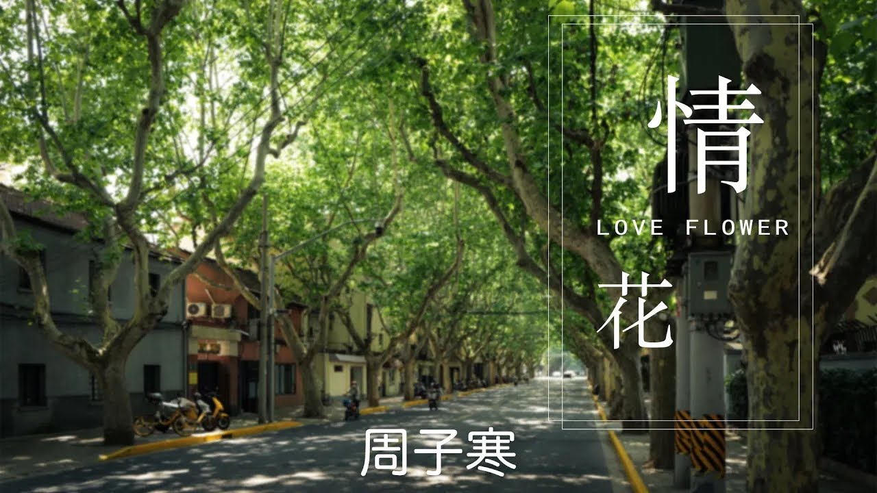 周子寒 - 情花【動態歌詞/Lyrics Video】 - YouTube