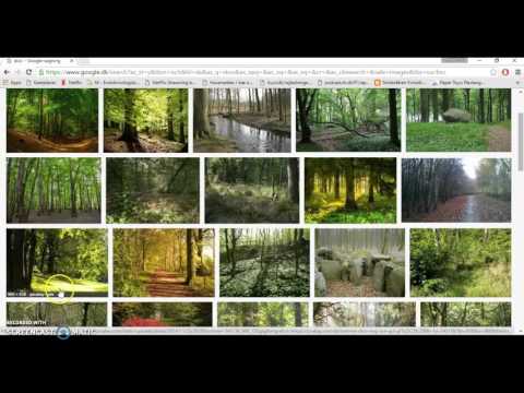 Video: Sådan Finder Du Et Billede