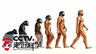 《走近科学》 解码科技史：我从何处来 20180615 | CCTV走近科学官方频道