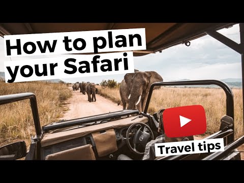 How to plan a Safari in Kenya - Safari tips