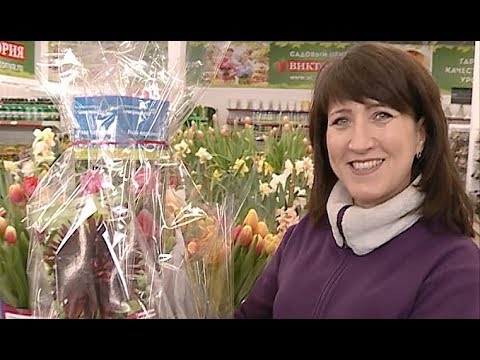 Виктория Садовый Центр Интернет Магазин