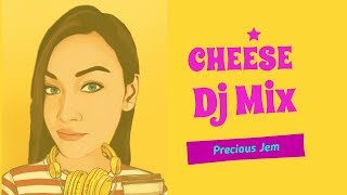 Cheese | EDM | No Copyright