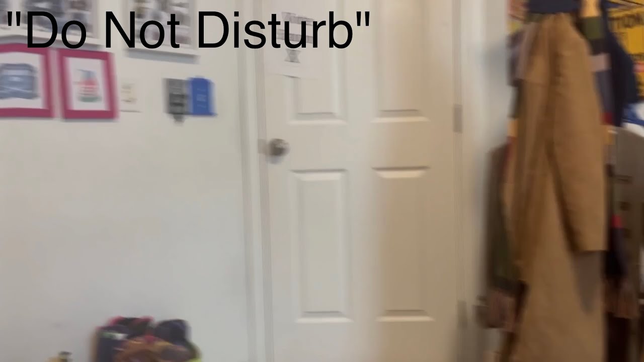 "Do Not Disturb" (mlp irl) - YouTube