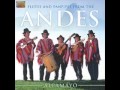 Sino te hubieras ido (Musica Andina)