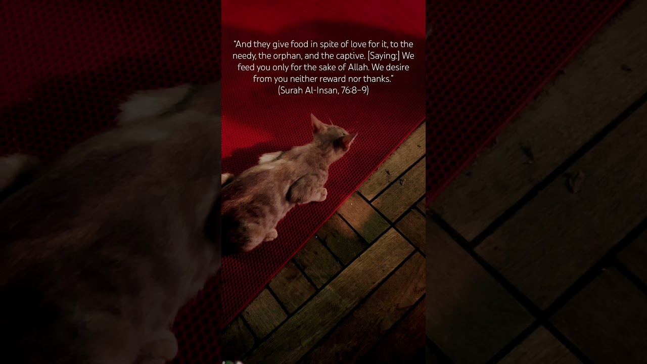 ✨ Helping others is worship. 