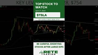 Celebrity How Much LOWER Can Tesla Stock Go? [$TSLA] Wealth