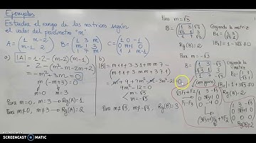 RANGO DE UNA MATRIZ CON PARÁMETROS 2 BACHILLERATO