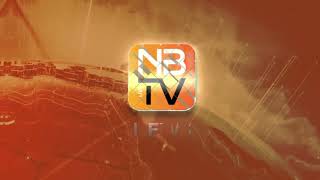Nb Tv  Logo Animation  Output Digital Media