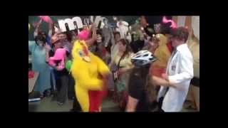MHS Home Office Harlem Shake