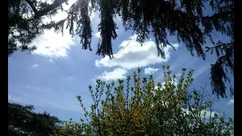 PINK FLOYD THE ENDLESS RIVER FULL ALBUM Tribute Part 5 of 10 HOUR RELAXING MUSIC by Cave of Creation