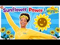 Sunflower Power 🌻 The Wiggles 💛 Tsehay 🎵 Kids Dancing Songs