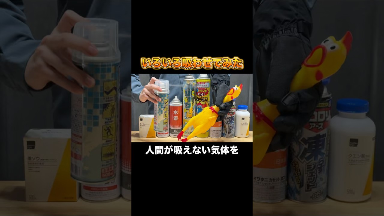 びっくりチキンにいろいろな気体を吸わせて音の変化を観察してみた