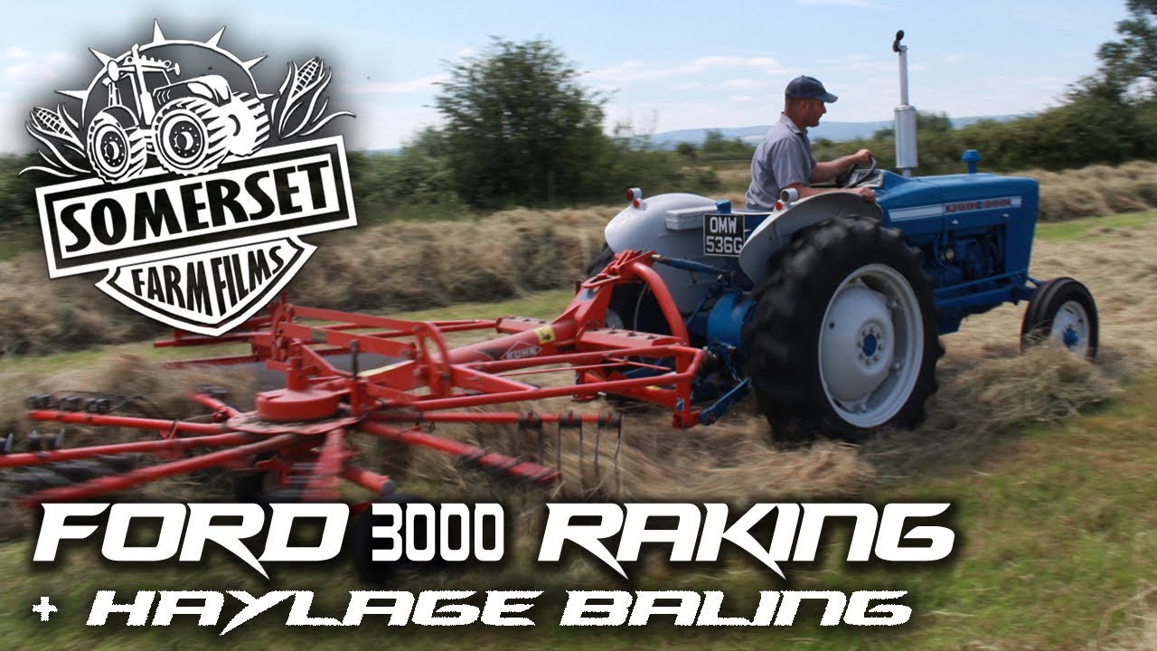 Ford 3000 in the Summer sun