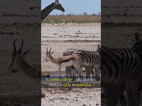 Video: Top 5 sevärdheter på Namibias skelettkust