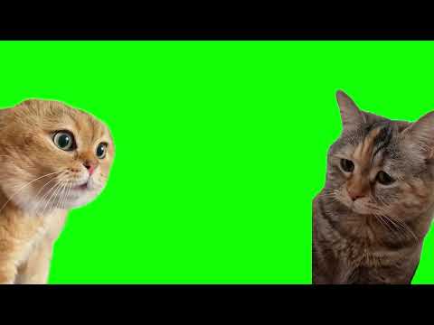Green screen talking