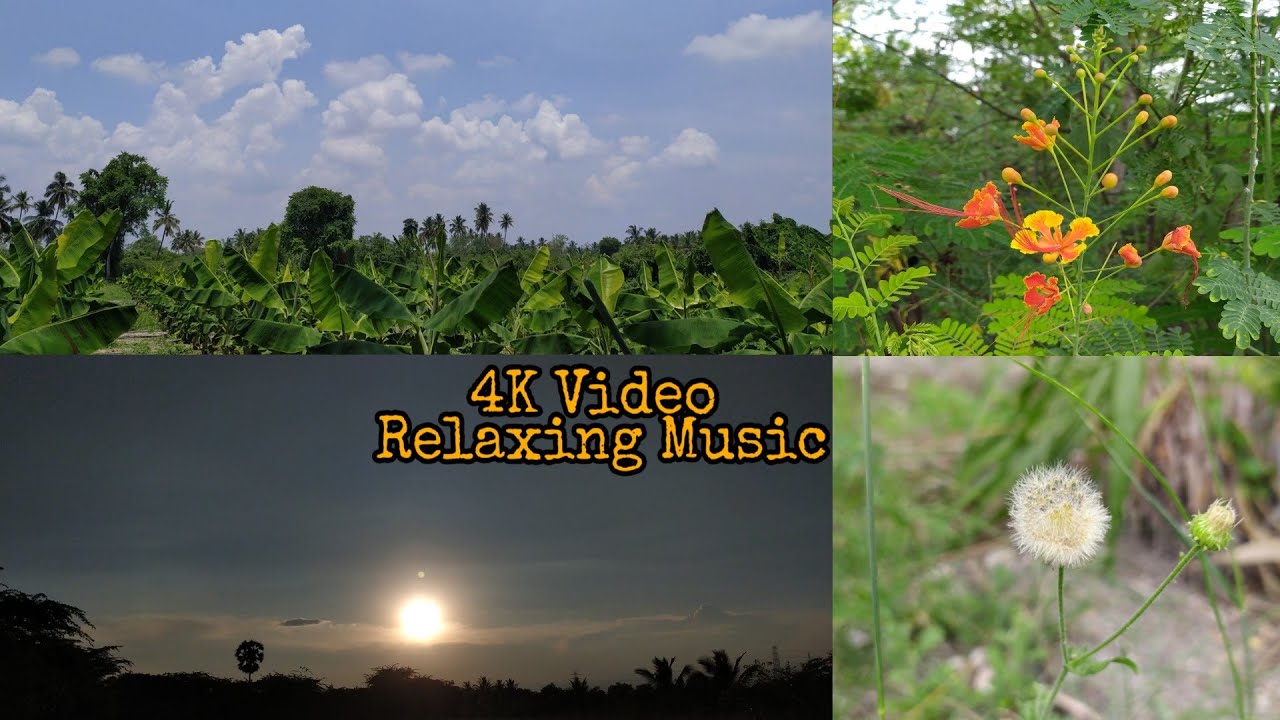 My Surroundings | 4K Relaxing Music | Tamil | Hari Prasath Dhp