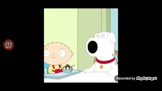  Gato Bailando Wiggle 