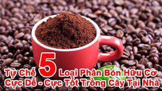 Tự Chế 5 Loại Phân Bón Hữu Cơ Cực Tốt - Cực Dễ Khi Trồng Cây Tại Nhà ✔