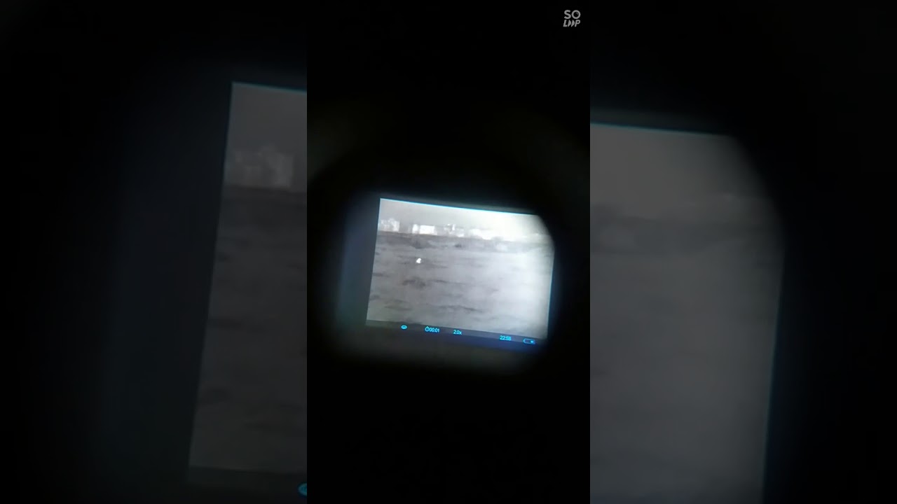 Pulsar axion key xm 22