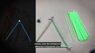 3 - 3 Application Des Concepts Dans Un Réseau Scolaire Du Centre - Nord De La C. - B.