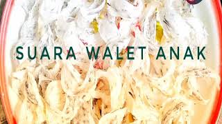 Suara Anak Walet the best sound 01