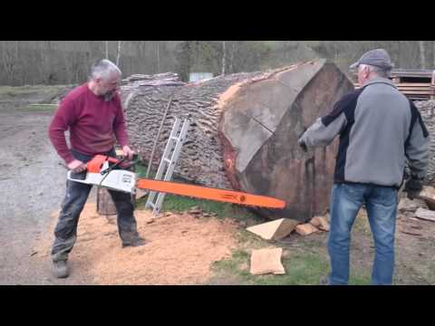 Stihl Ms 880 150cm Vs Big Oak Log
