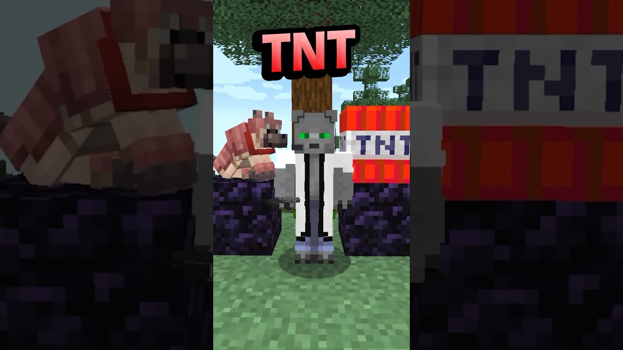 ¿Sobrevivirá un LOBO a un CAÑÓN de TNT?