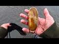 Oregon Coast Clamming For A Limit Of Delicious RAZOR CLAMS!!