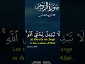فأقم وجهك للدين حنيفا فطرة الله التي فطر الناس عليها سعد الغامدى فأقم وجهك للدين حنيفا فطرة الله التي فطر الناس عليها سعد الغامدى