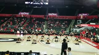 UGA Dance Dawgs