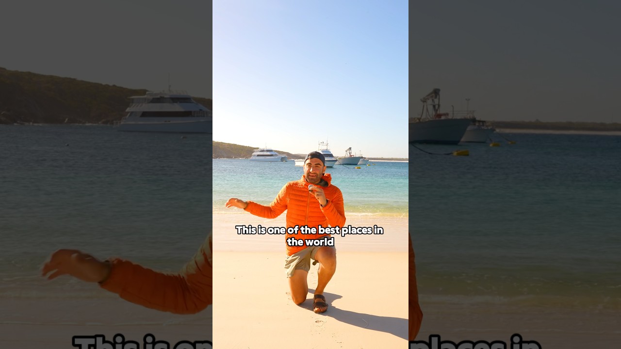 Наблюдение за косатками в Западной Австралии! 🐋 travelaustralia 