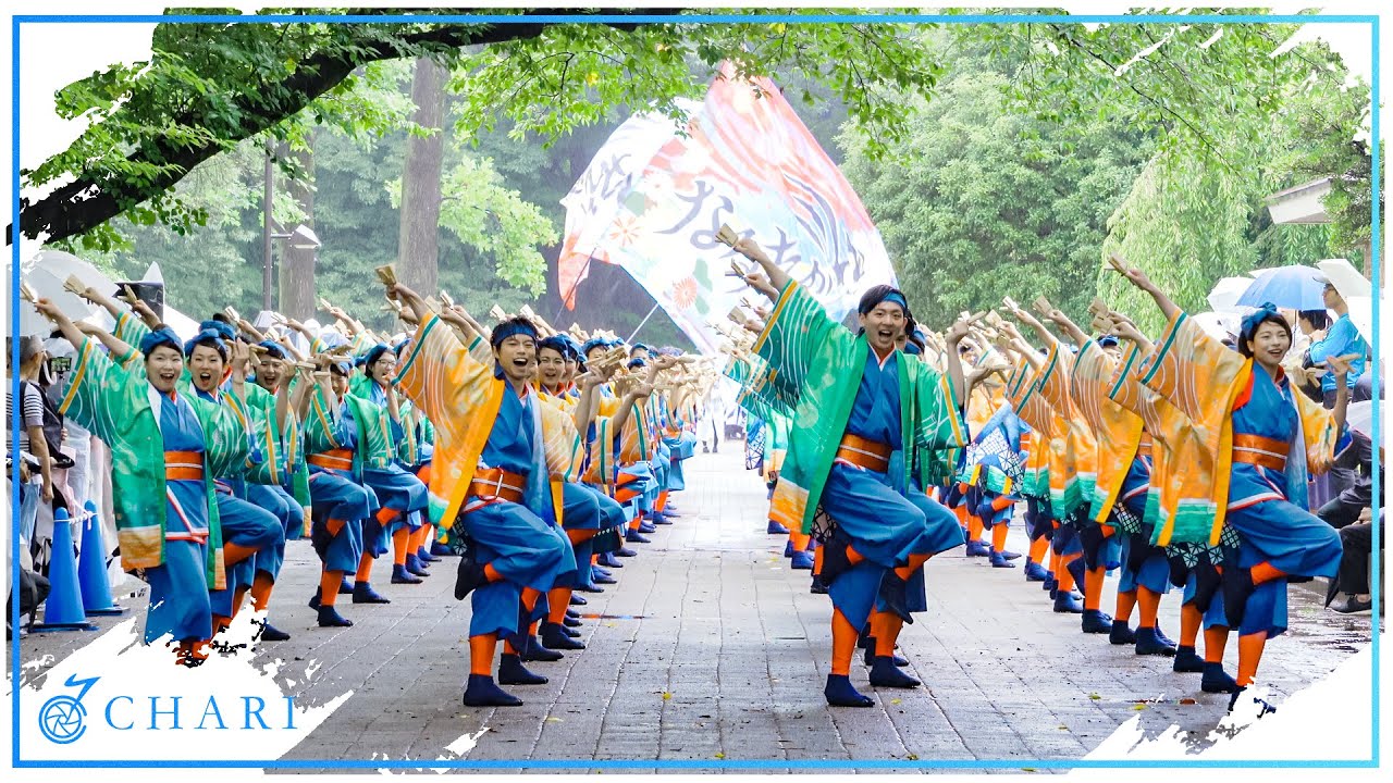 【4K】なるたか｜indigo（よさこい光が丘 2019）【御披露目演舞】