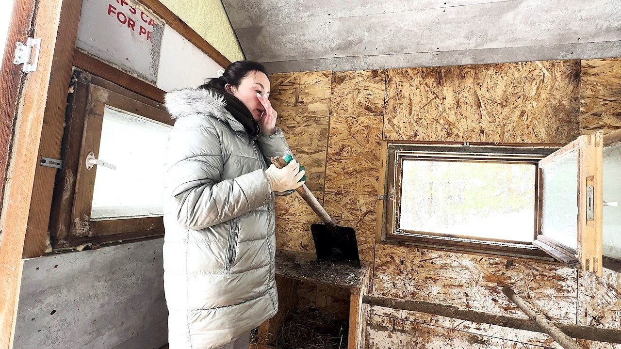 ПОСЛЕ ТАКОЙ ЗИМЫ НУЖНО СПАСАТЬ КУРЯТНИК ПОКА ОН НЕ СГНИЛ. тавим вентиляцию и гнезда, закрываем стены