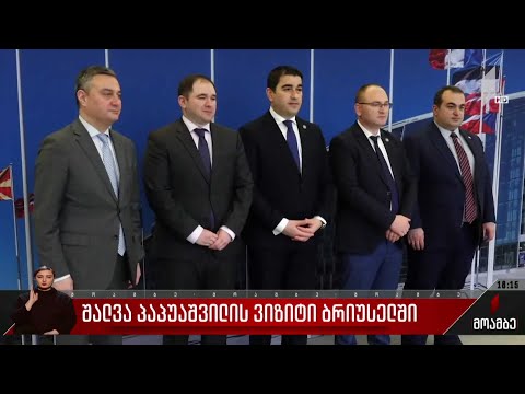 შალვა პაპუაშვილის ვიზიტი ბრიუსელში