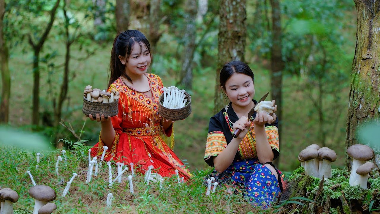 Unique Wild mushrooms are a mountain girl's dish