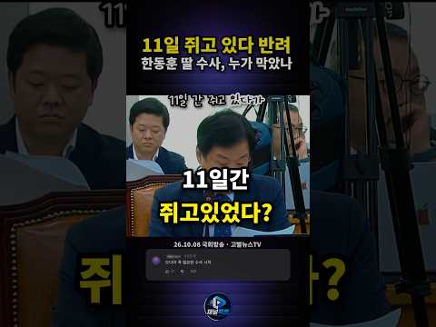 '11일 간 쥐고 있다가' 한동훈 딸 수사 공조 반려 폭로한 박균택