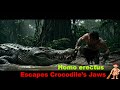 Homo erectus Escapes Crocodile’s Jaws #SocialSurvival #HominidLife #ancientsecrets