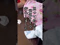 野良猫の赤ちゃんが捕獲器に…