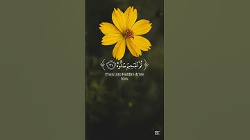 سورة الحاقة ( يليتها كانت القاضية ) | الآية ٢٧ إلى ٣٦ |ياسر الدوسري #قرآن #ياسرالدوسري #سورة_الحاقة