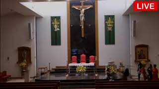 Thánh Lễ Chúa Nhật 7:00 sáng - Giáo Xứ Đức Mẹ Hằng Cứu Giúp - Garland, Texas