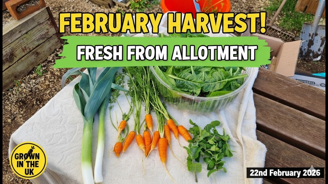 Февральский урожай! Вы не поверите, что уже созрело на вашем огороде!