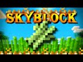 Hypixel SkyBlock Hardcore [28] Building the best farm (for more than coins)