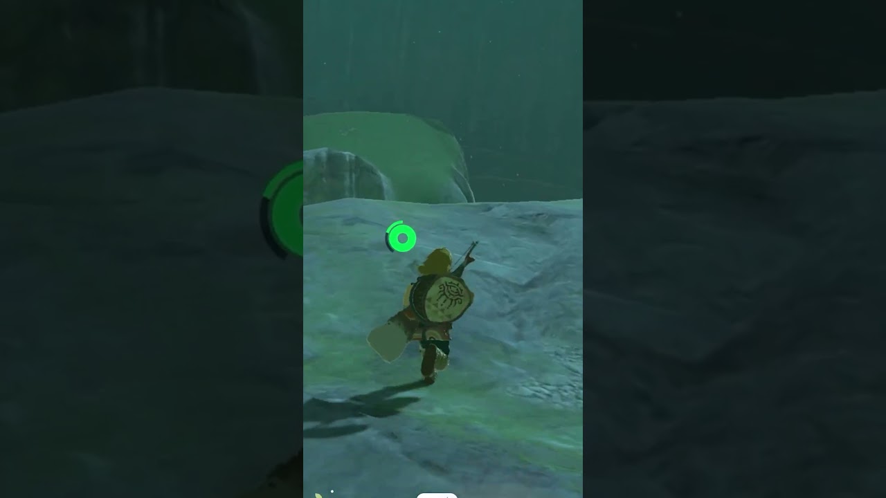 Bao's Expert Plays in Zelda TotK 