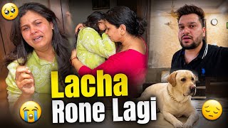 Lacha Shadi Ko Leke Emotional Hogayi 🥺