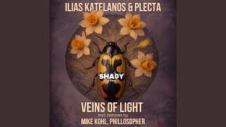 Veins of Light (Mike Kohl Remix)