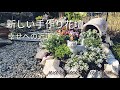 新しい手作り花壇・幸せへの近道New handmade flowerbedhortcut to happiness